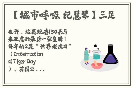 女生开襟做双人运动